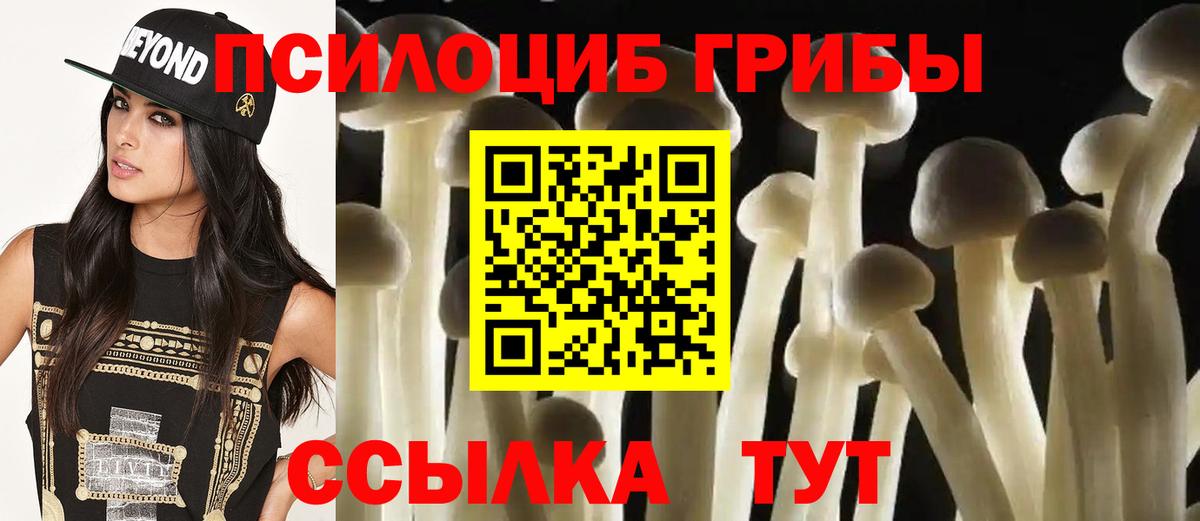 Псилоцибиновые грибы Psilocybine cubensis  Галлюциногенные грибы Psilocybe  Вход с VPN  Ачинск 