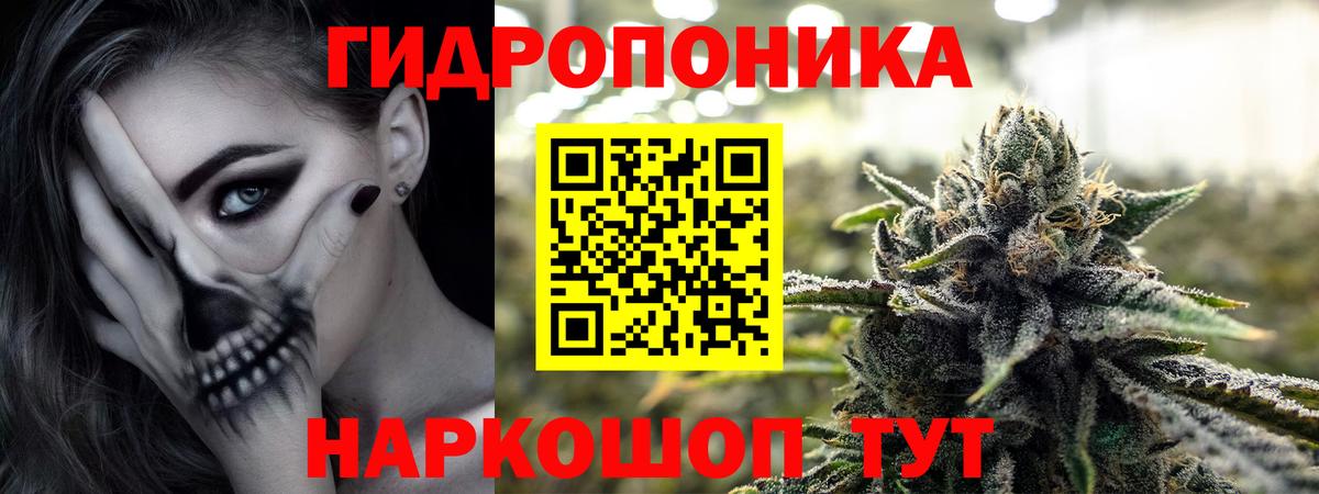 Конопля Ganja  МАРИХУАНА сатива  Бошки Шишки LSD WEED  Вход с VPN  МАРИХУАНА MAZAR  Ачинск 